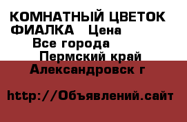 КОМНАТНЫЙ ЦВЕТОК -ФИАЛКА › Цена ­ 1 500 - Все города  »    . Пермский край,Александровск г.